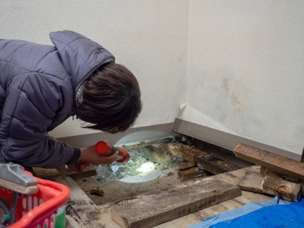 Best Dehumidification Services  in Branchville, SC