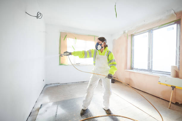 Best Industrial Mold Remediation  in Branchville, SC