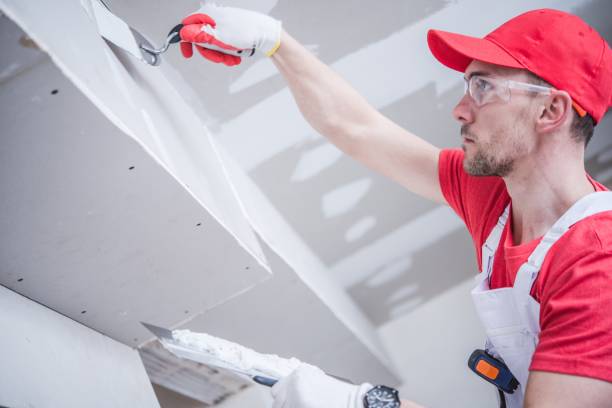 Dehumidification Services in Branchville, SC